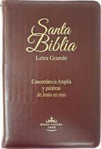 SANTA-BIBLIA-Let-Grde-Concordancia-Pal-Jesusn-rojoRVR055CLGPJRZIa-Vino-7899938407172